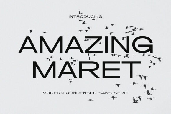 Amazing Maret: A Modern Sans Serif Font for Campaign Design