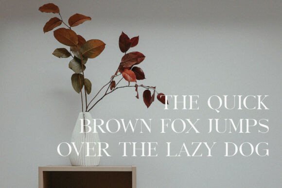 Benfika: A Modern Serif Font for Web Design Projects