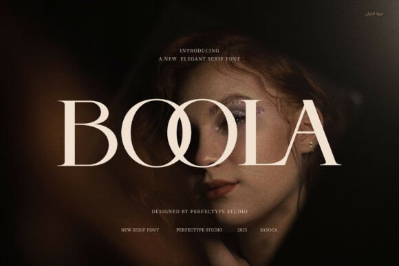 Boola Serif Font for Web Design Projects