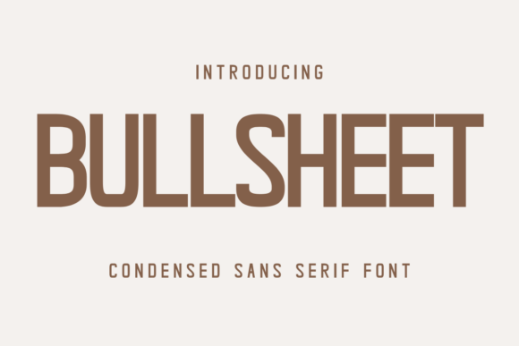 Bullsheet: A Modern Sans Serif Font for Web Design