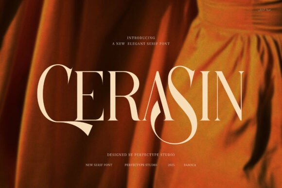 Cerasin Serif Font for Professional Web Design