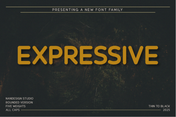 How Expressive Rounded Transformed My Brand’s Visual Identity