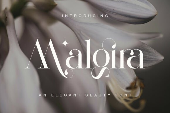 How Malgira Font Transformed My Brand's Visual Identity