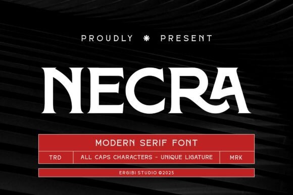 How Necra Elevates Your Brand with Timeless Typography